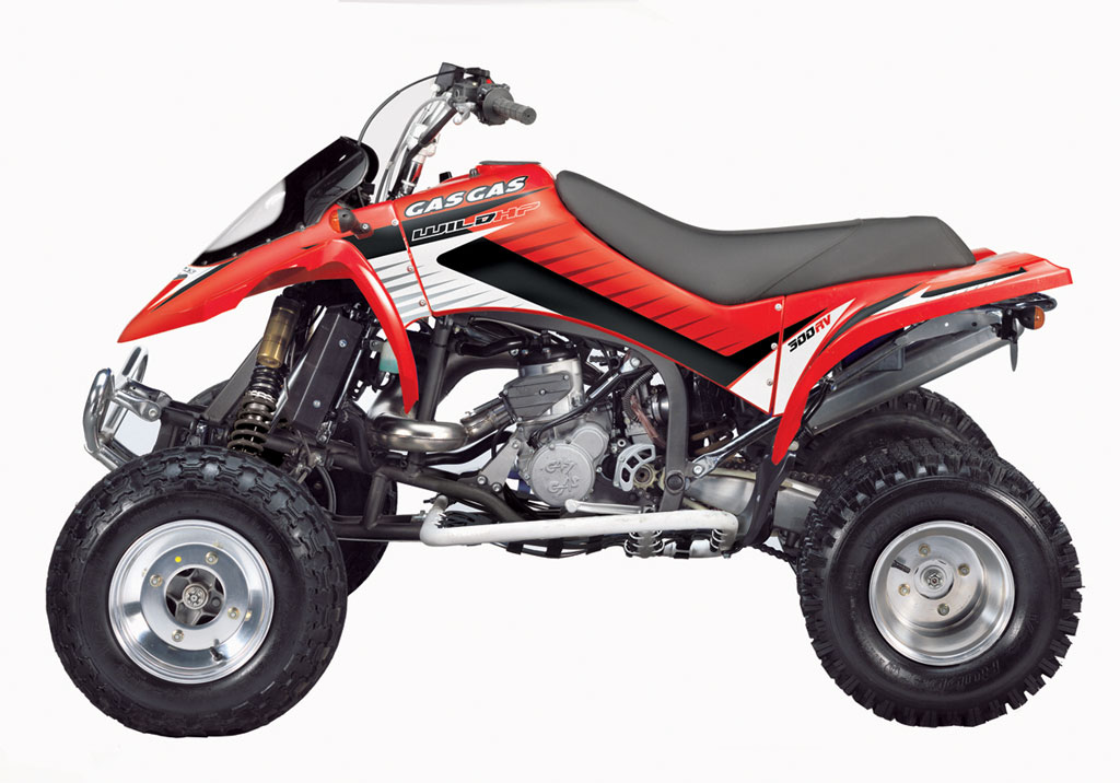 Мотоцикл GASGAS WILD HP 300 2006