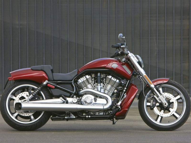 Мотоцикл Harley Davidson VRSCF V-Rod Muscle 2011 фото