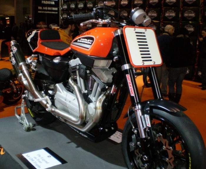 Мотоцикл Harley Davidson XR 1200 Trophy Replica 2009 фото