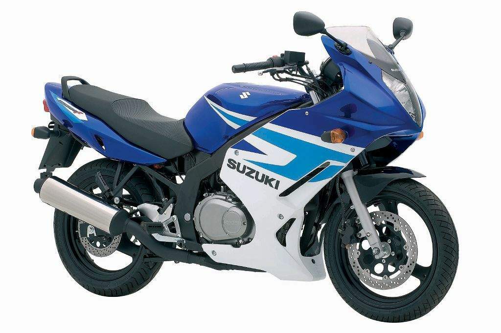 Мотоцикл Suzuki GS 500F 2004 фото