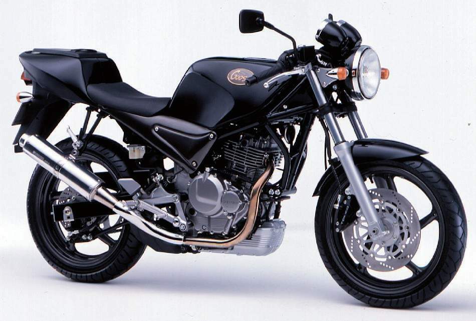 Мотоцикл Suzuki SG 250N Goose 1991
