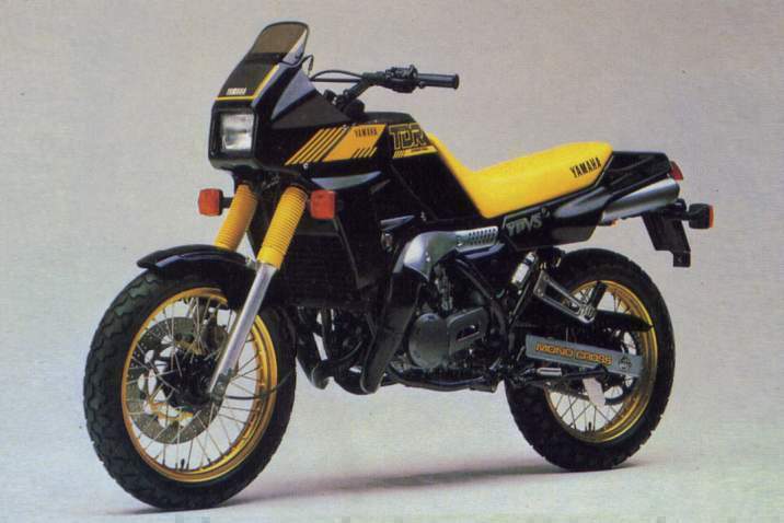 Мотоцикл Yamaha TDR 250 1988 фото