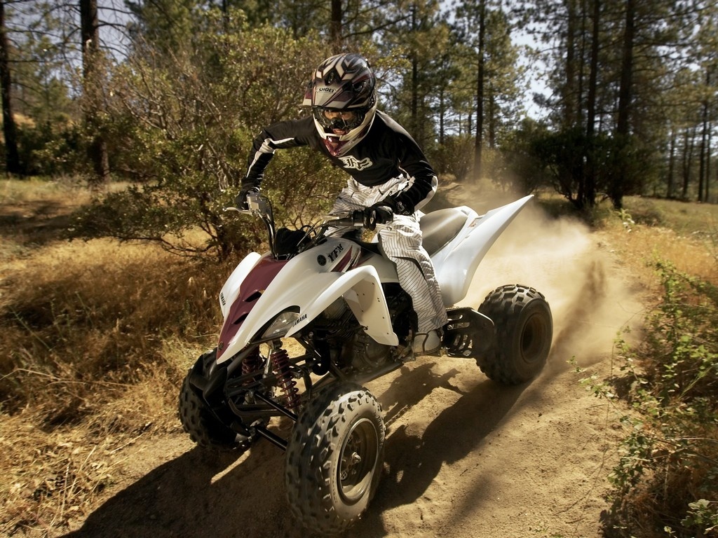 Yamaha Raptor 2010