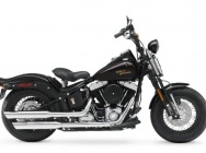 Мотоцикл Harley Davidson FLSTSB Softail Cross Bones 2008 фото
