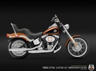 Мотоцикл Harley Davidson FXSTC Softail Custom 105 Anniversary 2008 фото
