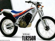Мотоцикл Honda TLR 250 R 1986 фото 2