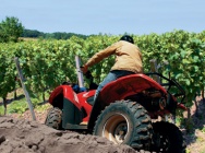 Мотоцикл Honda TRX 420 FA 2012 фото 5