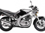 Мотоцикл Suzuki GS 500E 1995 фото 2