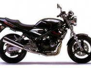 Suzuki GSF 250 V Bandit 1995
