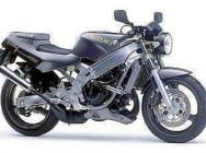 Мотоцикл Suzuki RG 250TV Wolf 1988 фото 1