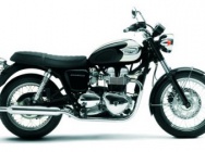 Мотоцикл Triumph Bonneville T100 2005 фото 3