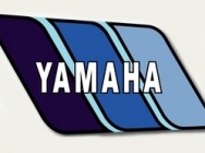 Мотоцикл Yamaha TY 250 1977 фото 6